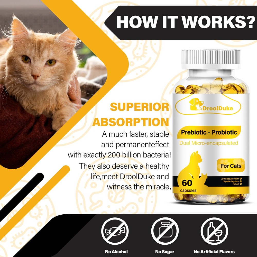 Cat Constipation Relief, Constipation Relief for Cat, Cat Laxative Constipation
