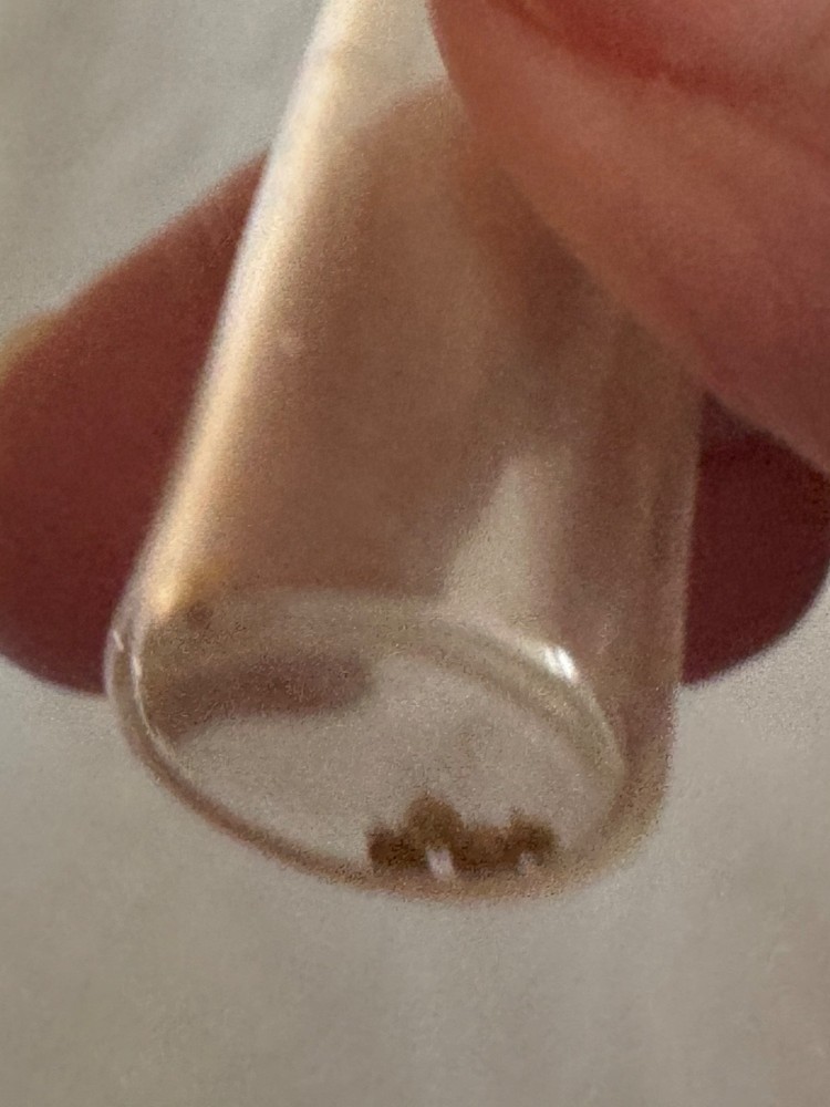 2 gram California Gold Nugget + container with flakes