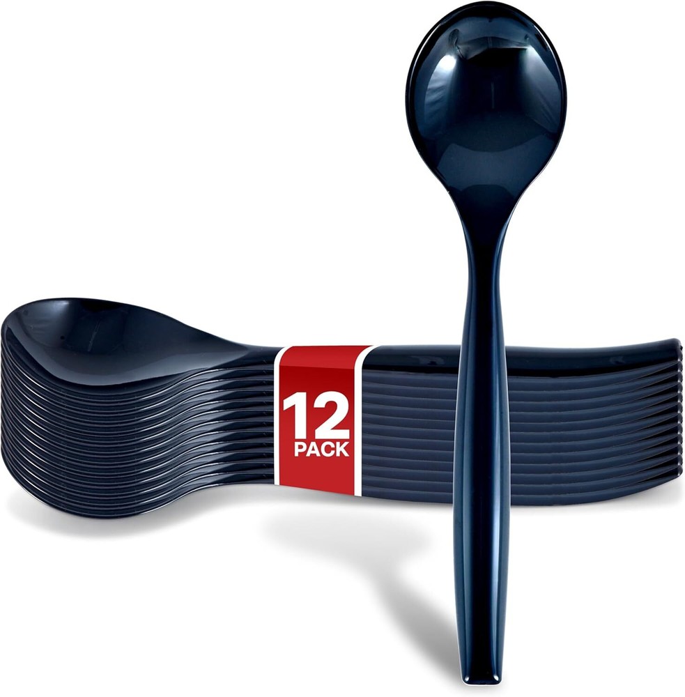 12 Count 10-Inch Disposable Serving Spoons, Black Plastic 12 Count,