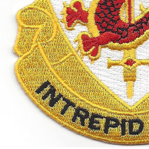 204th Infantry Regiment Patch