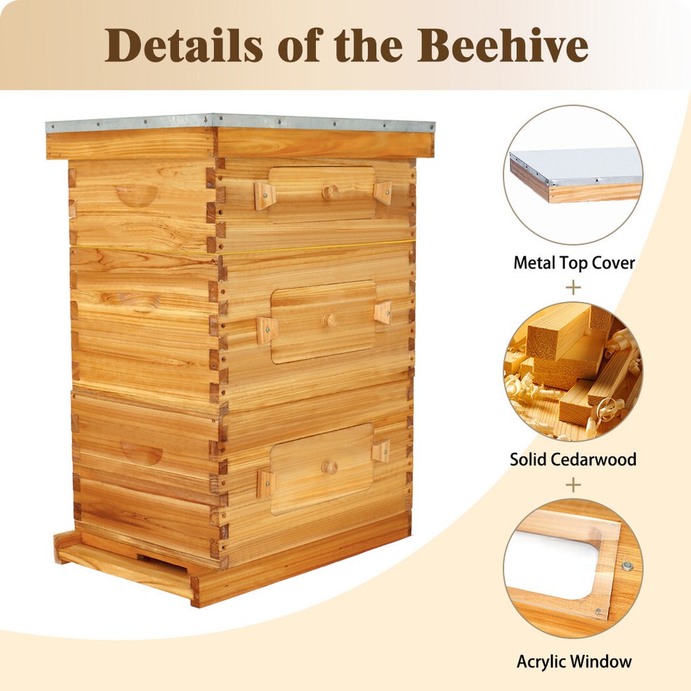 BeeCastle 10-Frame Langstroth Beeswax Coated Beehive with Plexiglass Windows