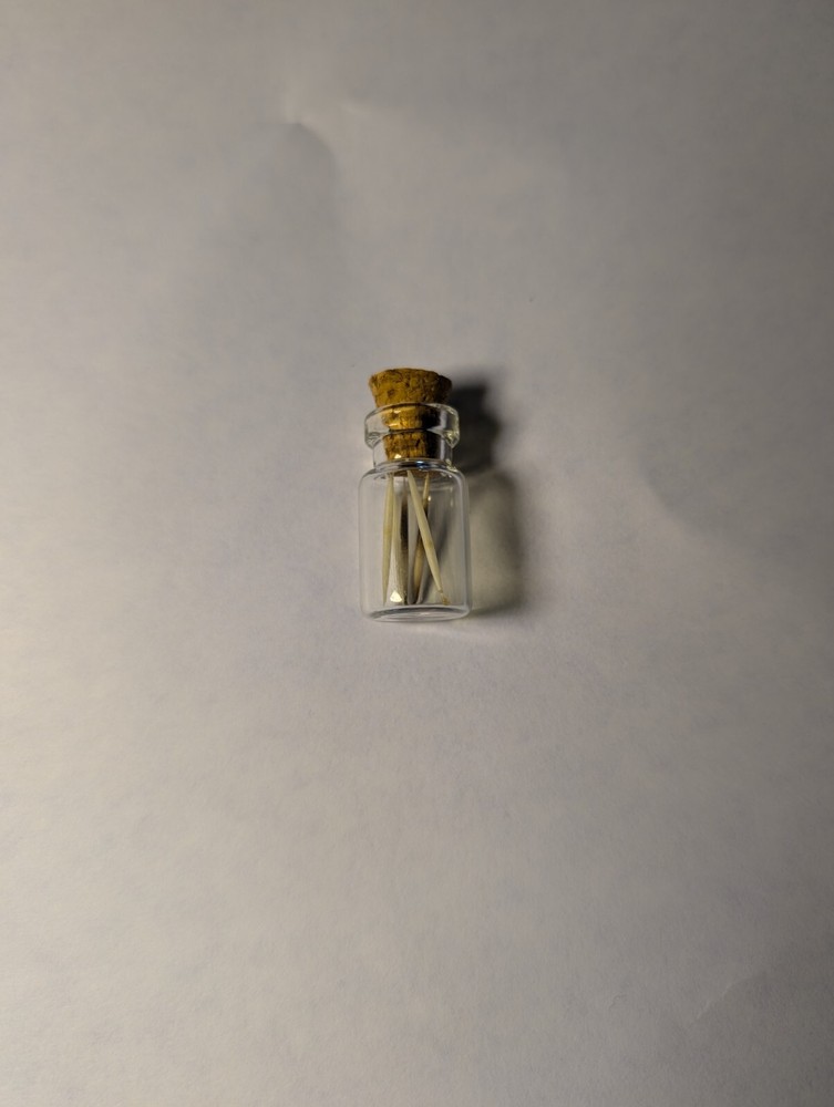 Hedgehog Quills Jar #4