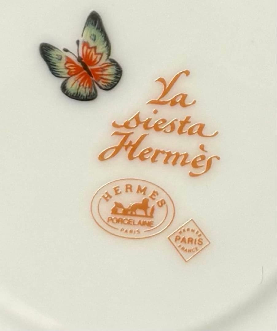 Hermes Siesta Teacup & Saucer Brand New Unused with Original Box Included