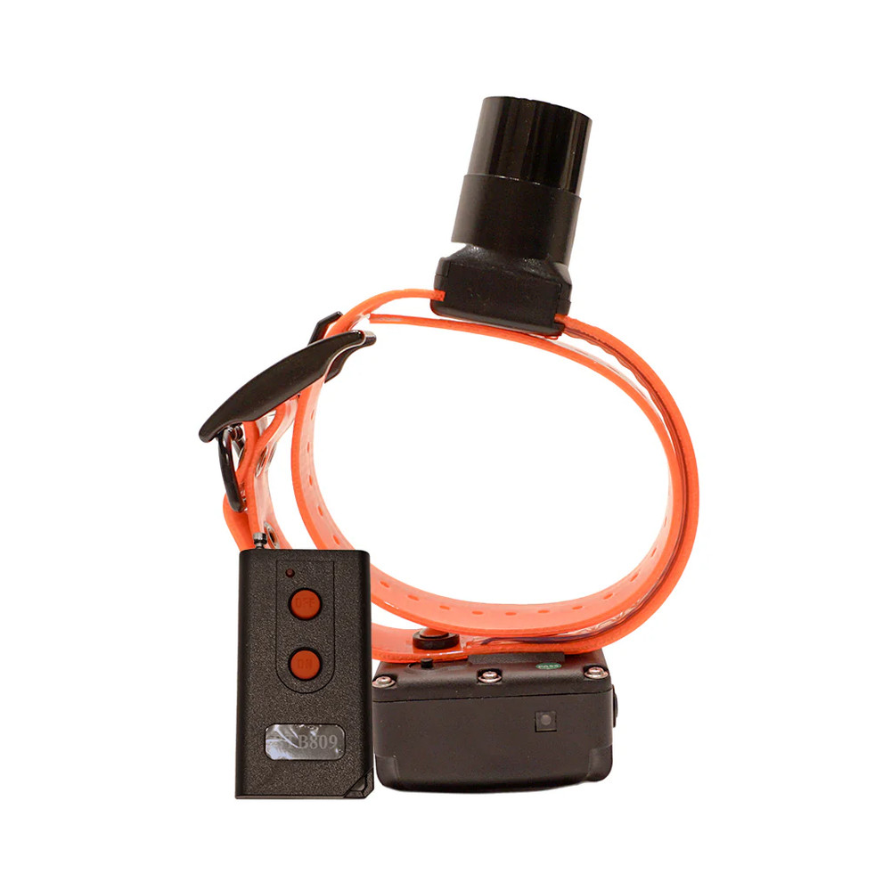 DT Systems BTB-809 Single Beep Baritone Dog Beeper Collar with Remote Control