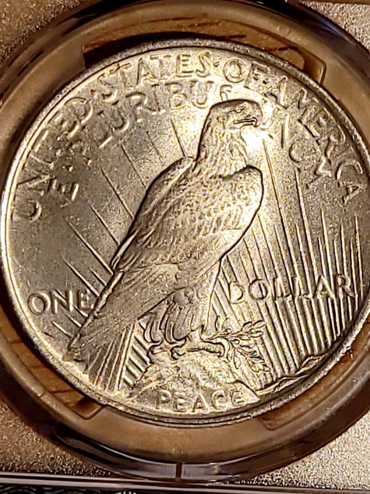 1923 Peace Dollar PCGS MS64 Very Nice