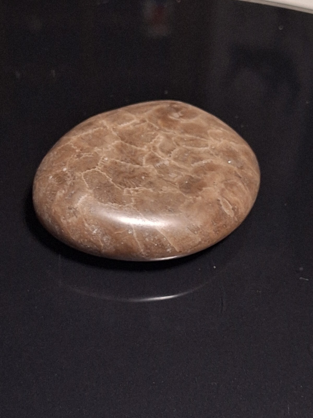 Hand polished Petoskey Stone, sm/md size. Semi precious, treasure, gift, fossil