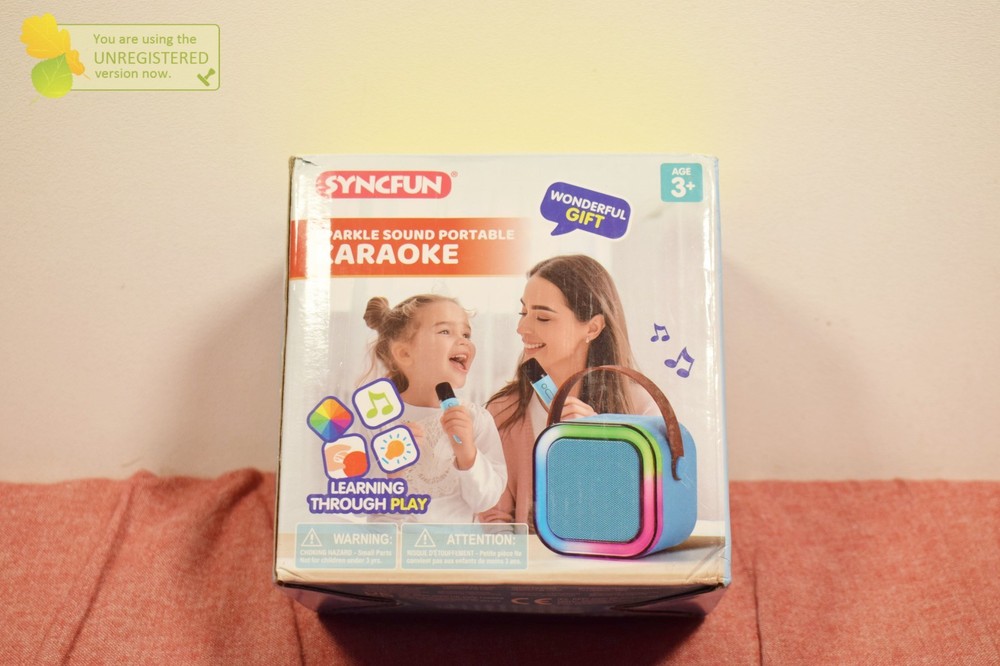 Mini Karaoke Machine with 2 Wireless Microphones