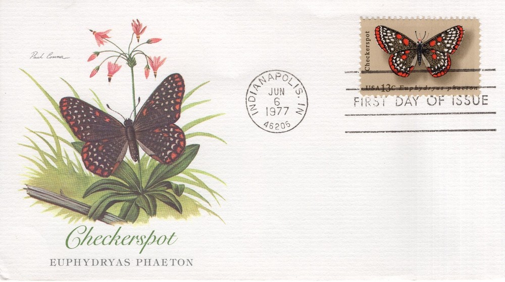 CHECKERSPOT BUTTERFLY  - 1977 - DC3468