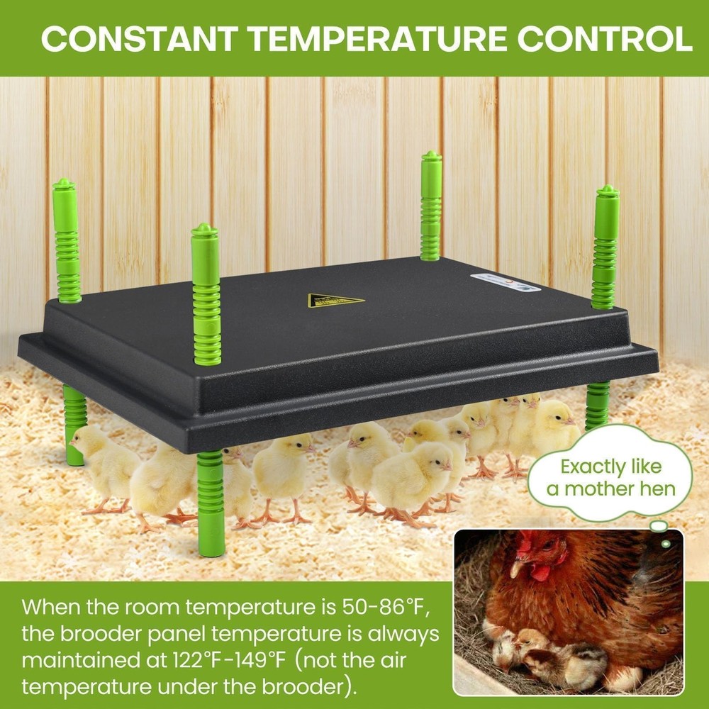 Chick Brooder Heater Plate 12"x16" Adjustable Temp Display 30W for 40 Chicks