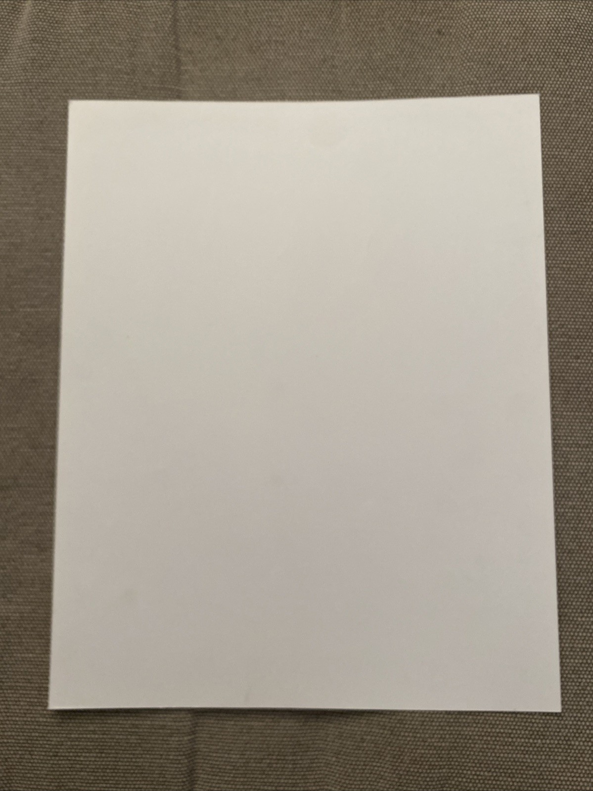 Israel Vibration Press Photo 8x10”. Ras Records.