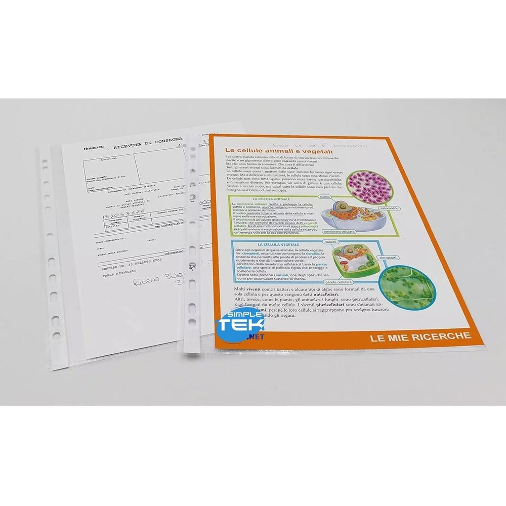 50 x 22X30 HIGH THICKNESS PERFORATED ENVELOPES FOR DOCUMENT RING BINDERS