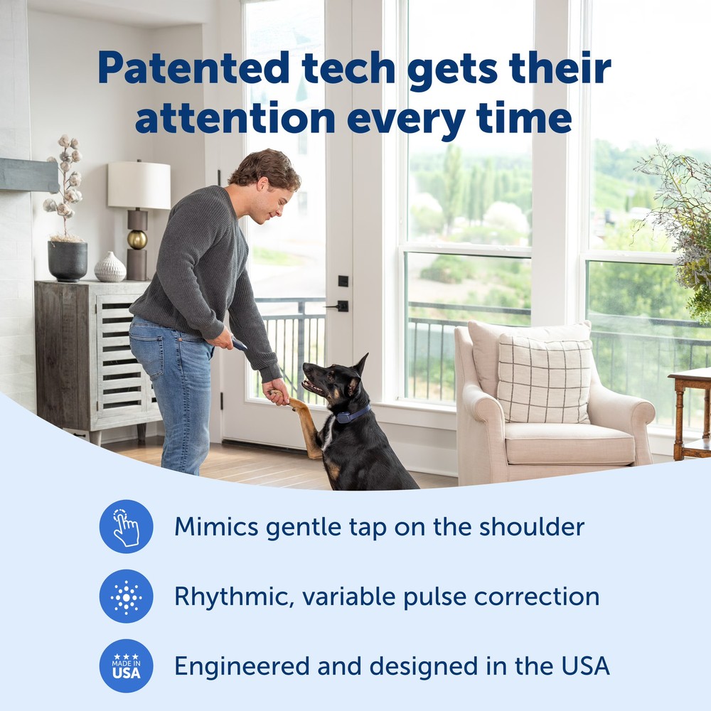 PetSafe Basic Dog Trainer with Remote – 300 ft Range – Tone