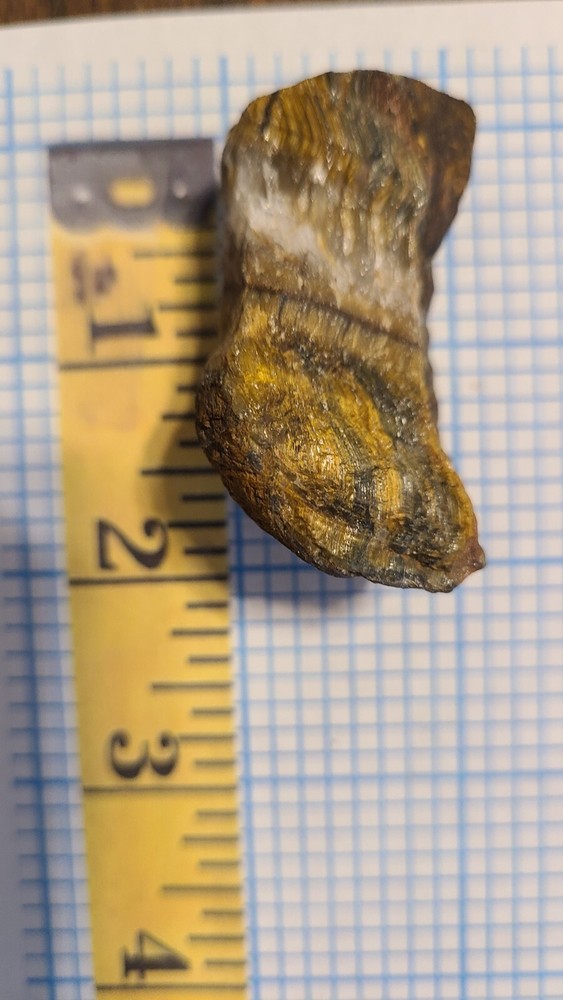 Tiger Eye Rough