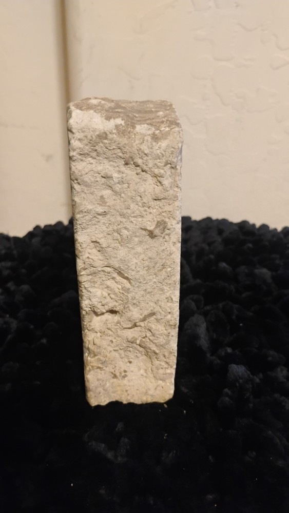 Hellefint Rock Bear Picture 5x2