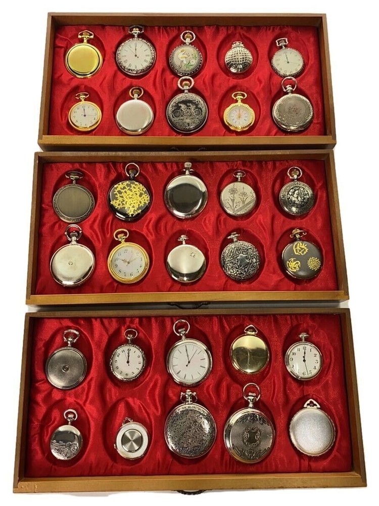 Dea Costco Watch Used