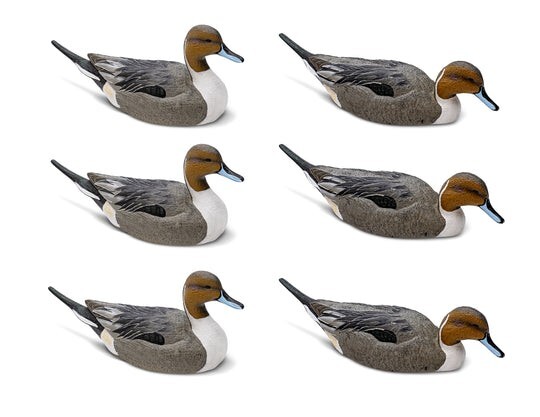 Rig'em Right Pintail EVA Decoys (Pk/6)