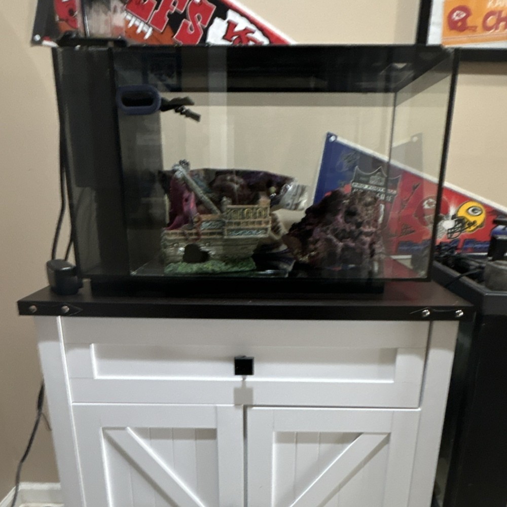 Glass Rectangle Fish Tank with Stand, Includes Decorations
