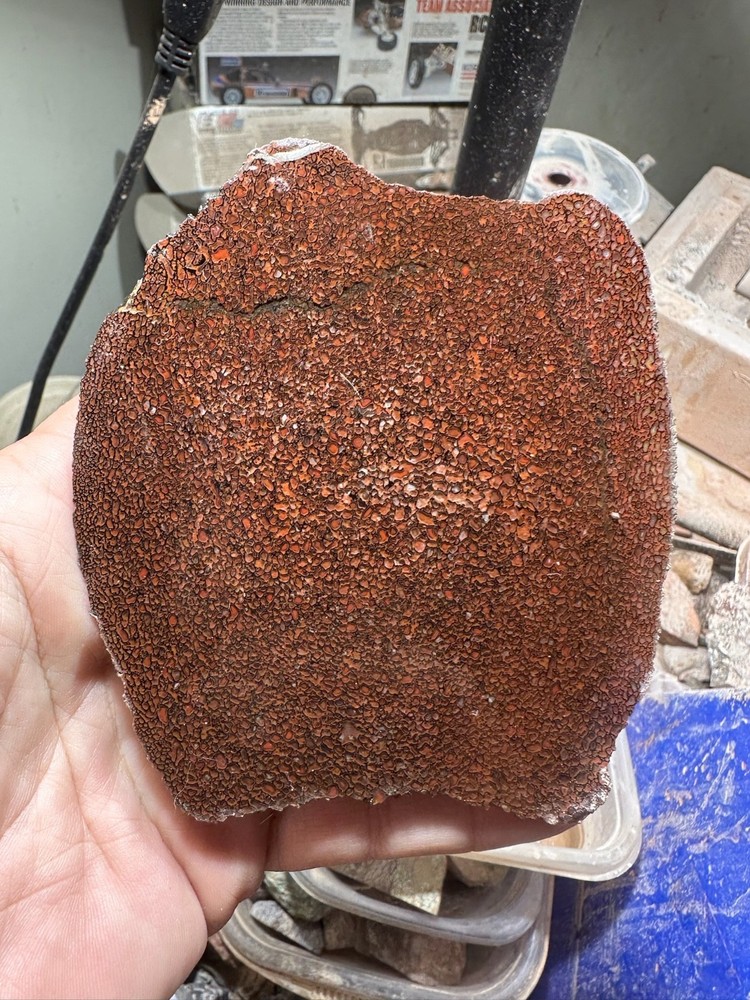 Dinosaur bone rough **hxtled slab.