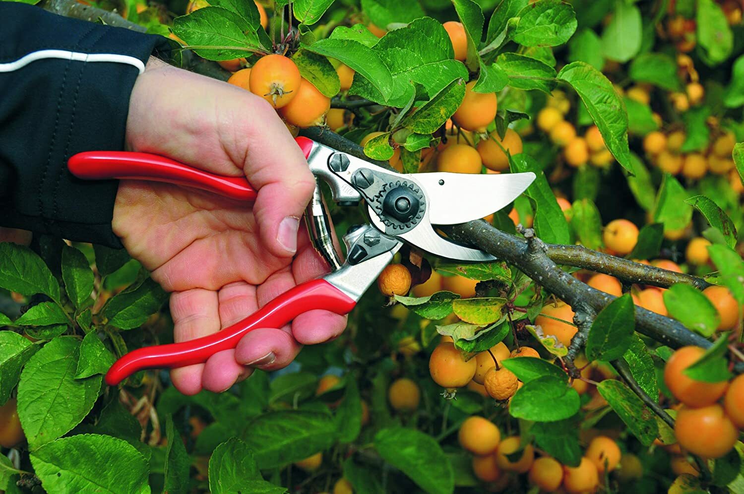 Felco F9 - High Performance Swiss Made Left-Handed Garden Pruners