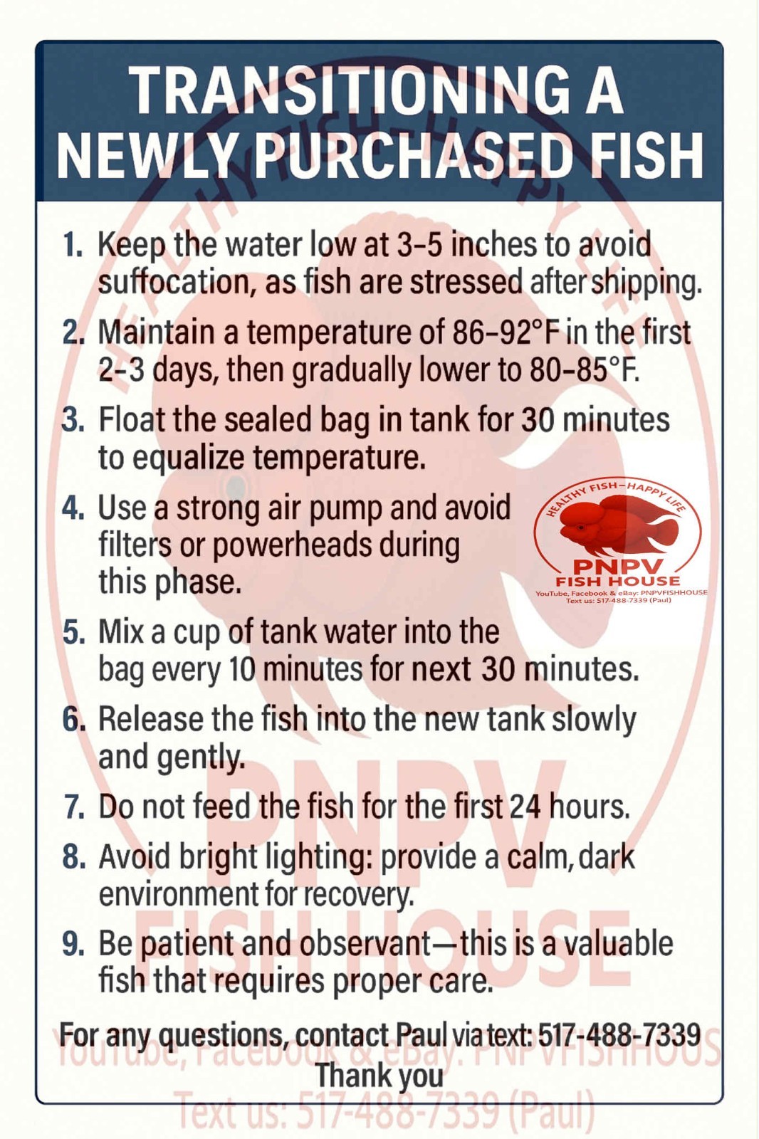 Premium Flowerhorn 1 Fry Super Red Monkey 1 inches-Buy 3 get 1 Free-A++++