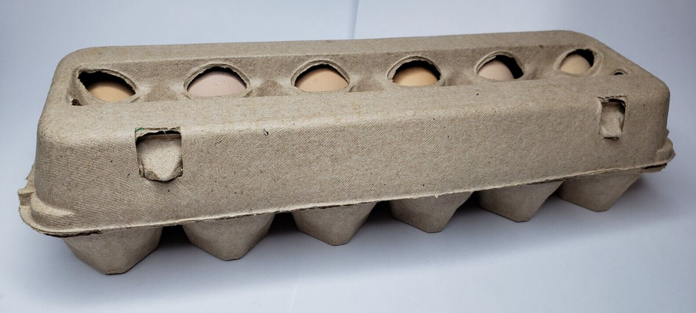 25 Count Ex-Large Plain Moulded Chicken Egg Cartons. 2 x 6.