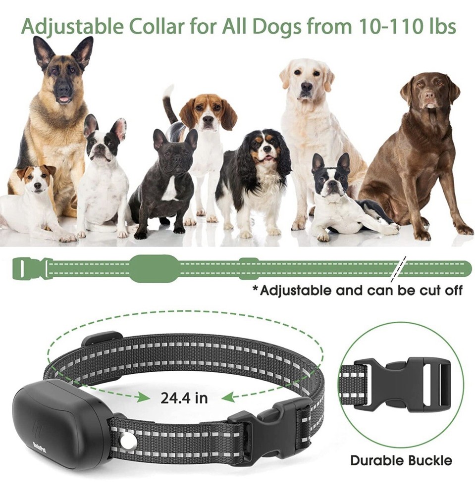 dog training collar with remote