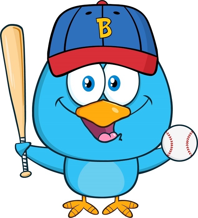 30 Custom Blue Baseball Bird Personalized Address Labels