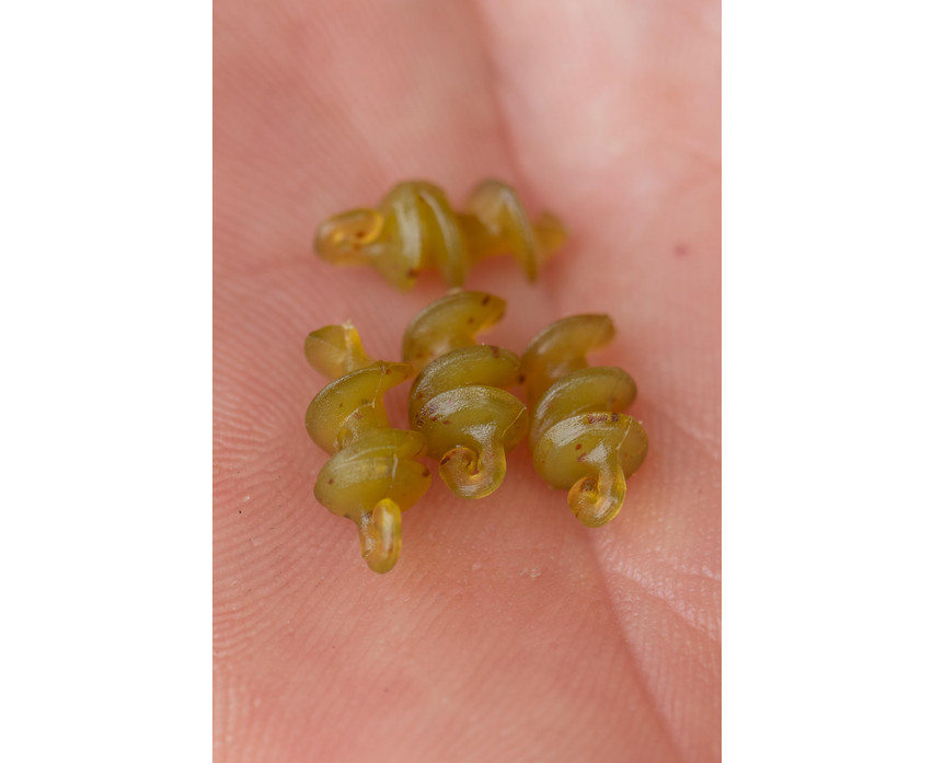 Korum Smokescreen Meat Screws