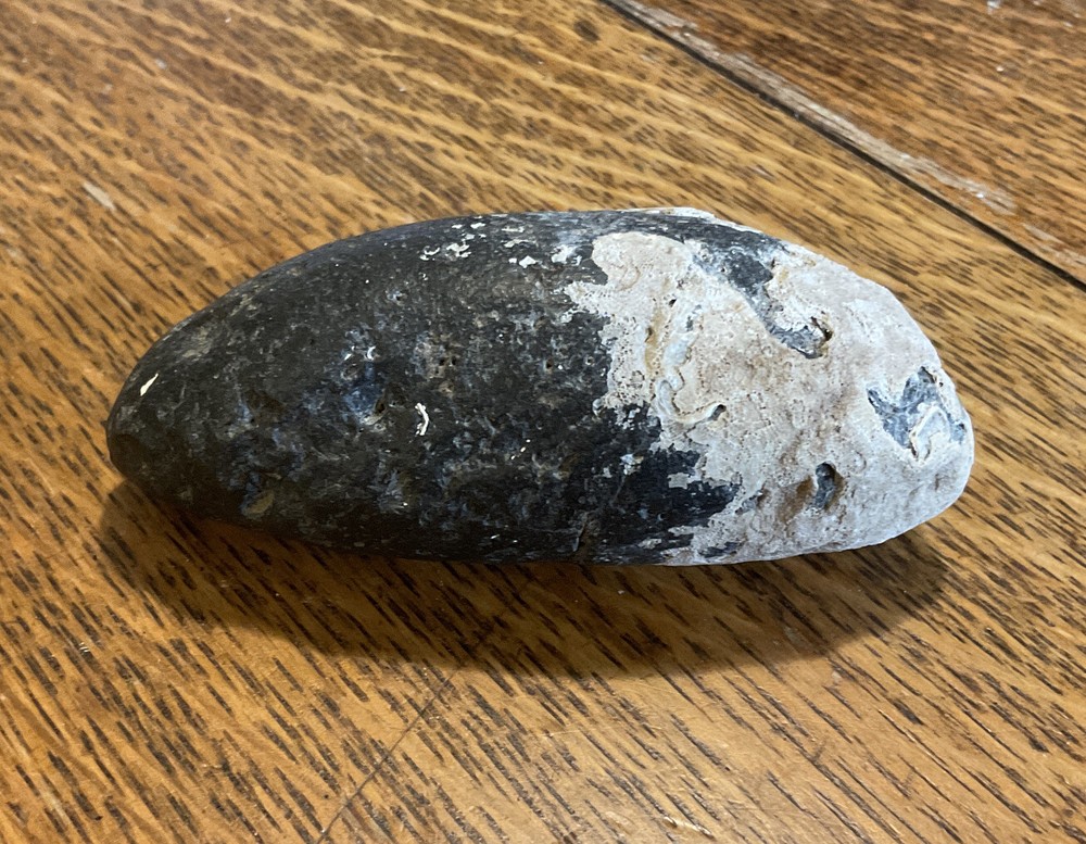 Giant Prehistoric Tooth 3.25"