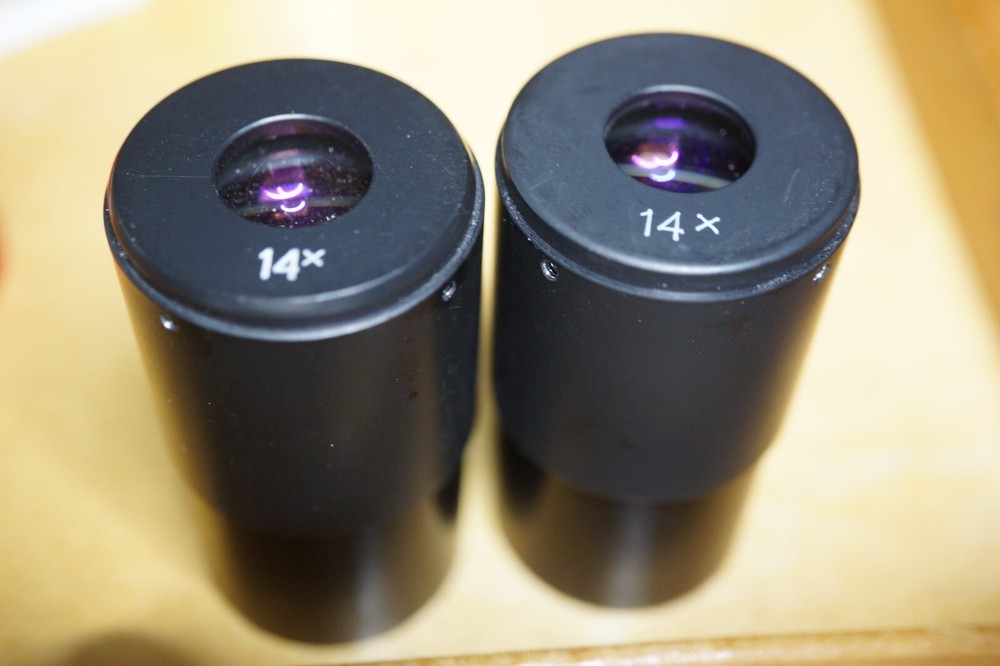 Eyepieces vor MBS microscope .