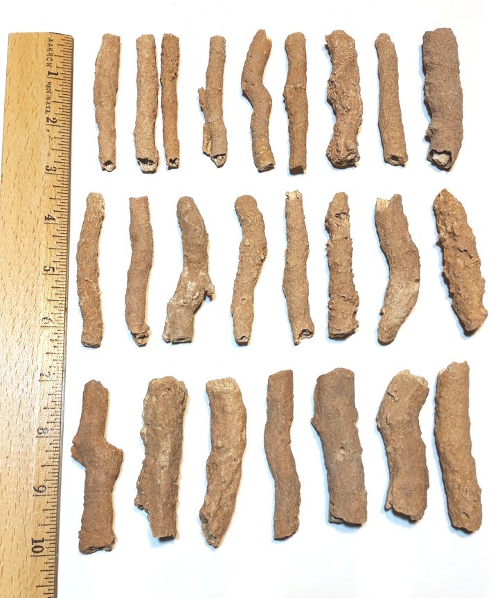 FULGURITE Morocco - found in sand dunes 2.75"- Only $9ea, - FOSSILIZED LIGHTNING