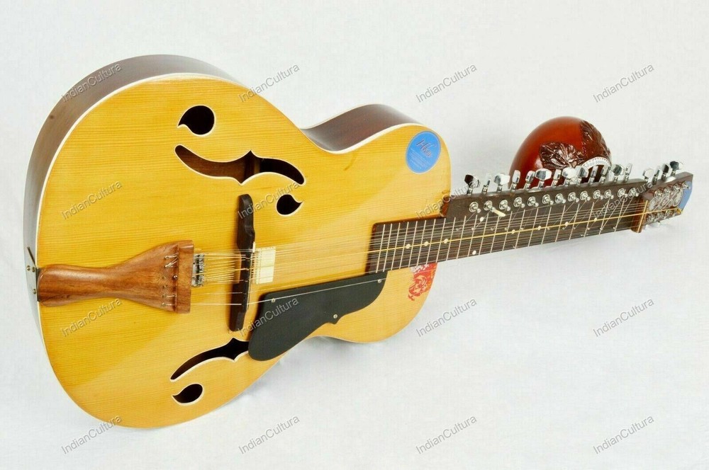 Professional Classical Plucked String Musical Instrument MohanVeena Slide Guitar
