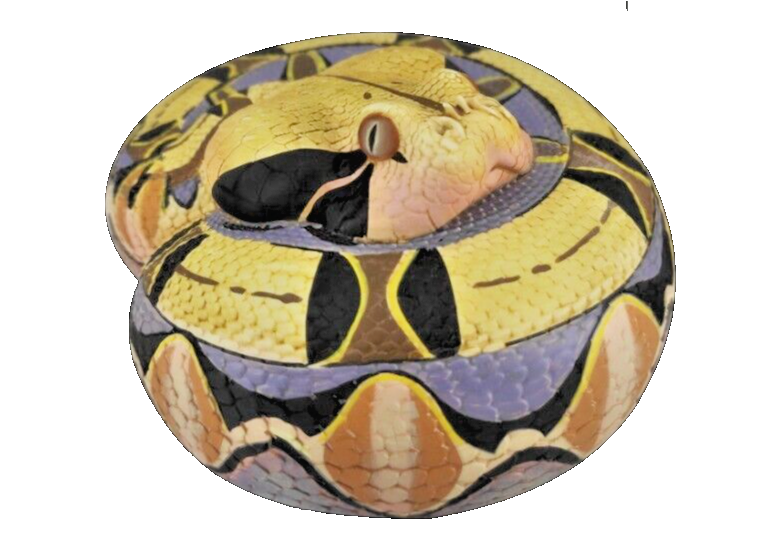 【In-Stock】 Animal Heavenly Body Gabonica Gaboon Viper Collectible Snake Statue