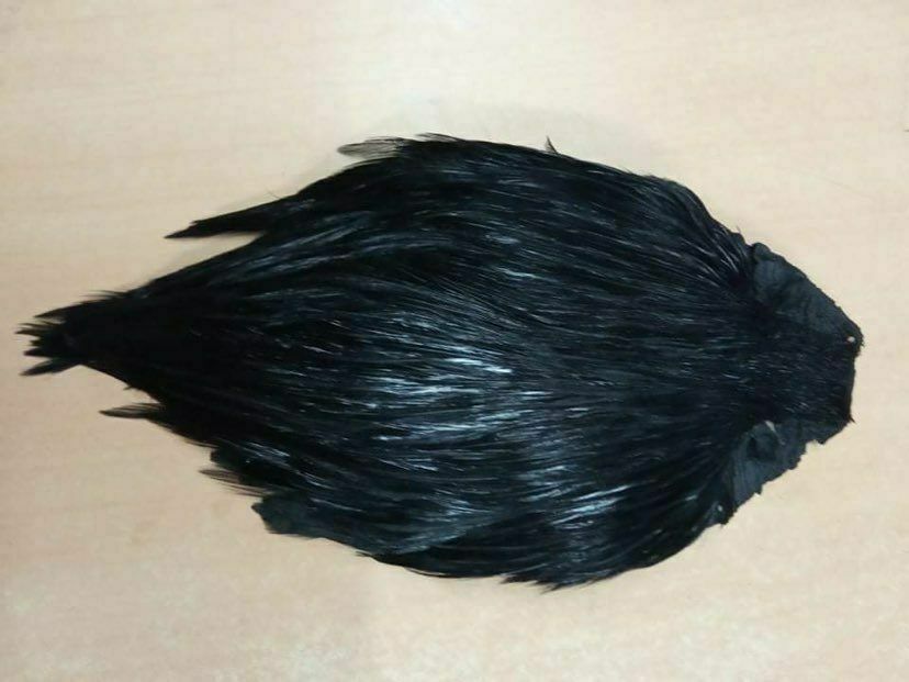 Grade1 Cock Cape Dyed Black Gordon Griffiths