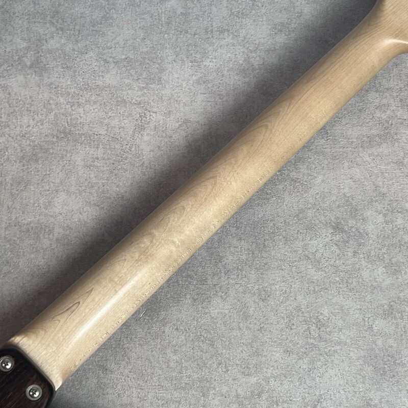 Bacchus T-STANDARD ASH w/soft case USED