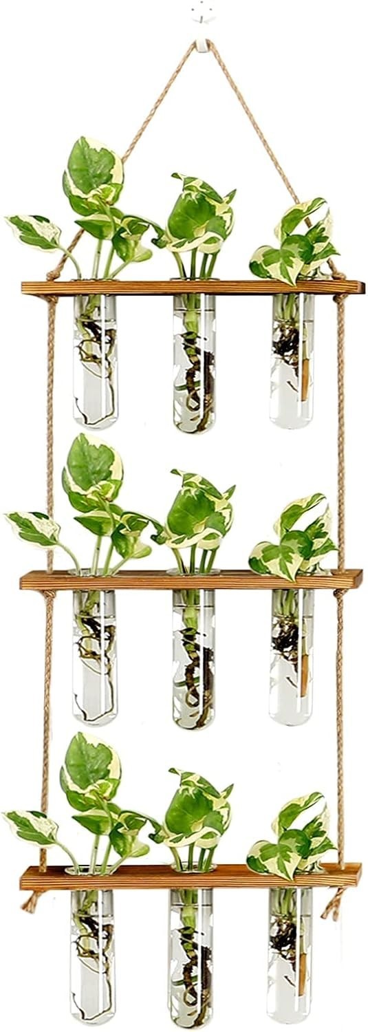 Wall Hanging Propagation Station with Wooden Stand Glass Tubes Tiered Plante...