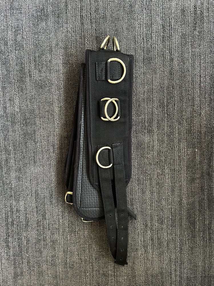 Weaver Lunging Surgicle - Black