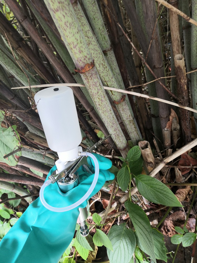 knotweed injector, 2025 model with 9 needles.