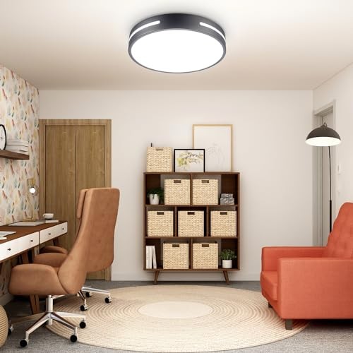 LED Ceiling Light Flush Mount 24W Kitchen Light Fixture Ceiling 12INCH Black