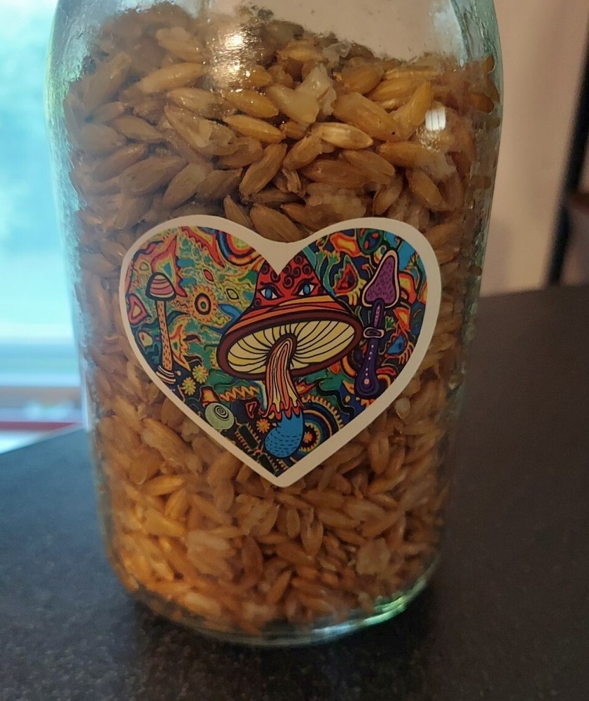 Sterilized Grain Jar (Quart Jar) Includes "Injection Port"