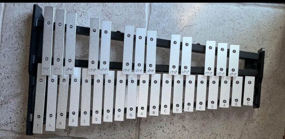 Percussion percussion xylophone