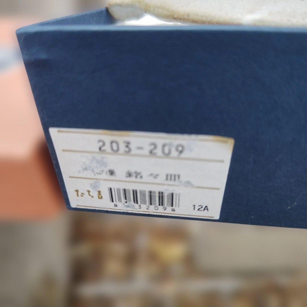 Tachikichi Leaf Plate 5 Set