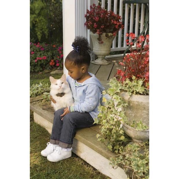 PetSafe Ultralight Cat Receiver Collar PCF-275-19
