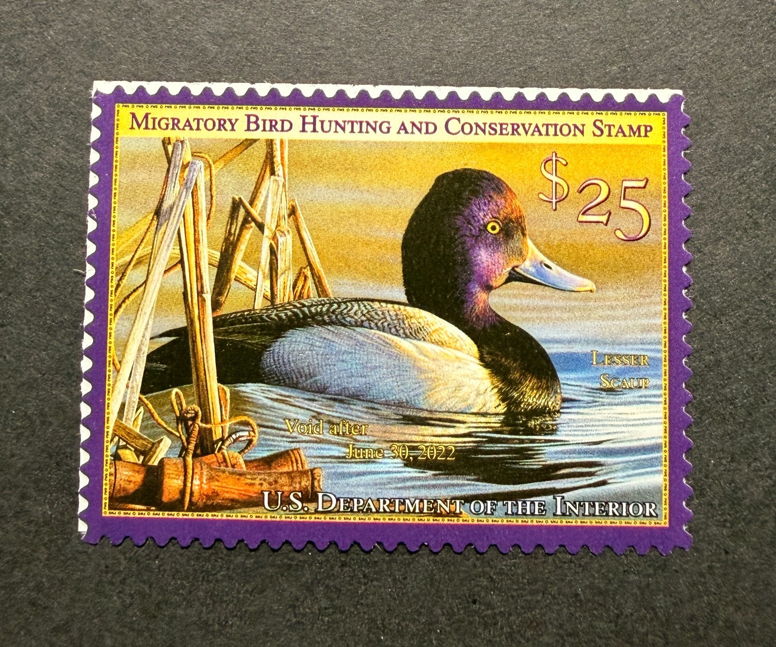 WTDstamps - #RW88 2021 - US Federal Duck Stamp **RICHARD CLIFTON**  Mint OG NH