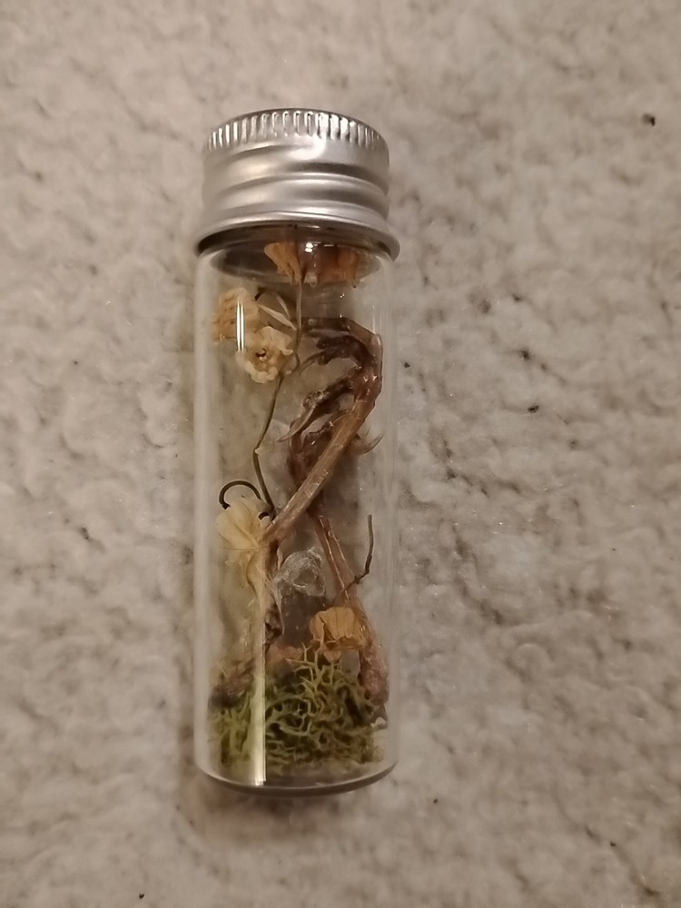 Jar With Bird Claws