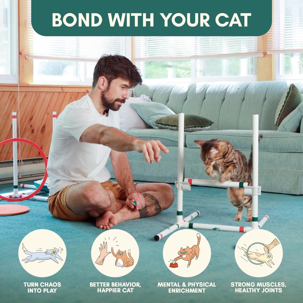 CATGILITY Cat Agility Equipment + Clicker Trainer Guide – Exercise Agility Co...