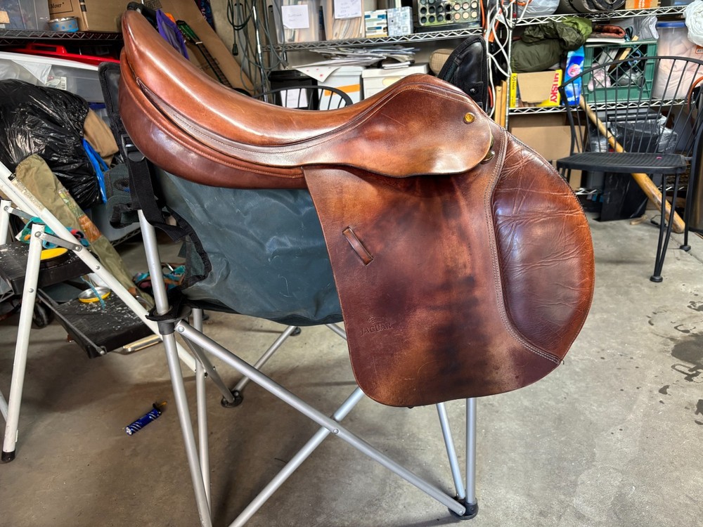 18 Inch Harry Dabbs Jaguar Jumping Saddle