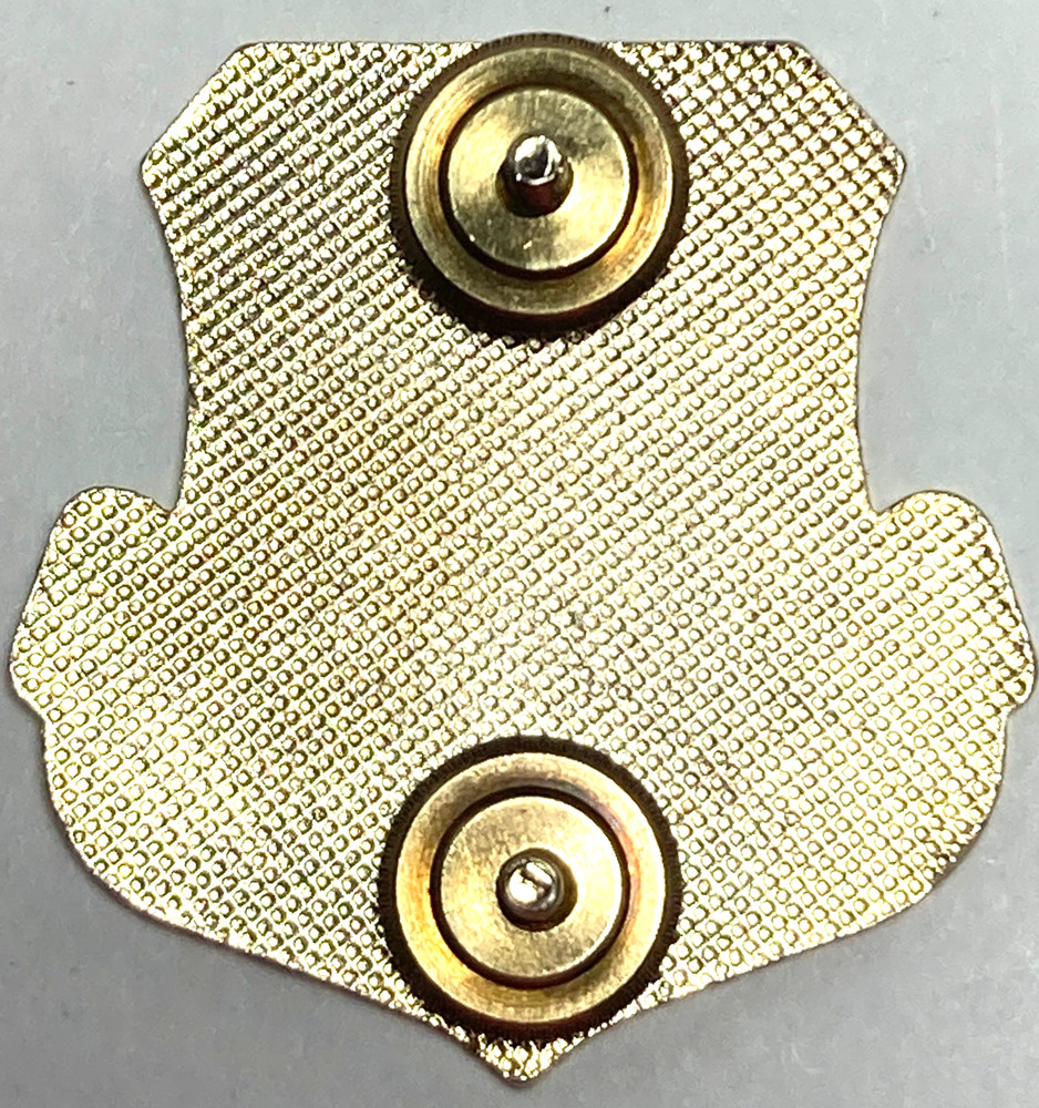 USAF Space Command Screw Back Insignia/ Pin