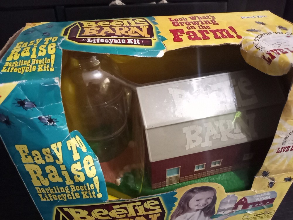 BEETLE FARM Insect Lore Lifecycle Kit