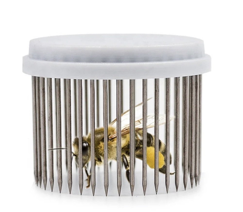 2Pcs Beekeeping Queen Needle Cage -Type Bee Cage isolator